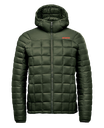 TNO-1M - Cyprès